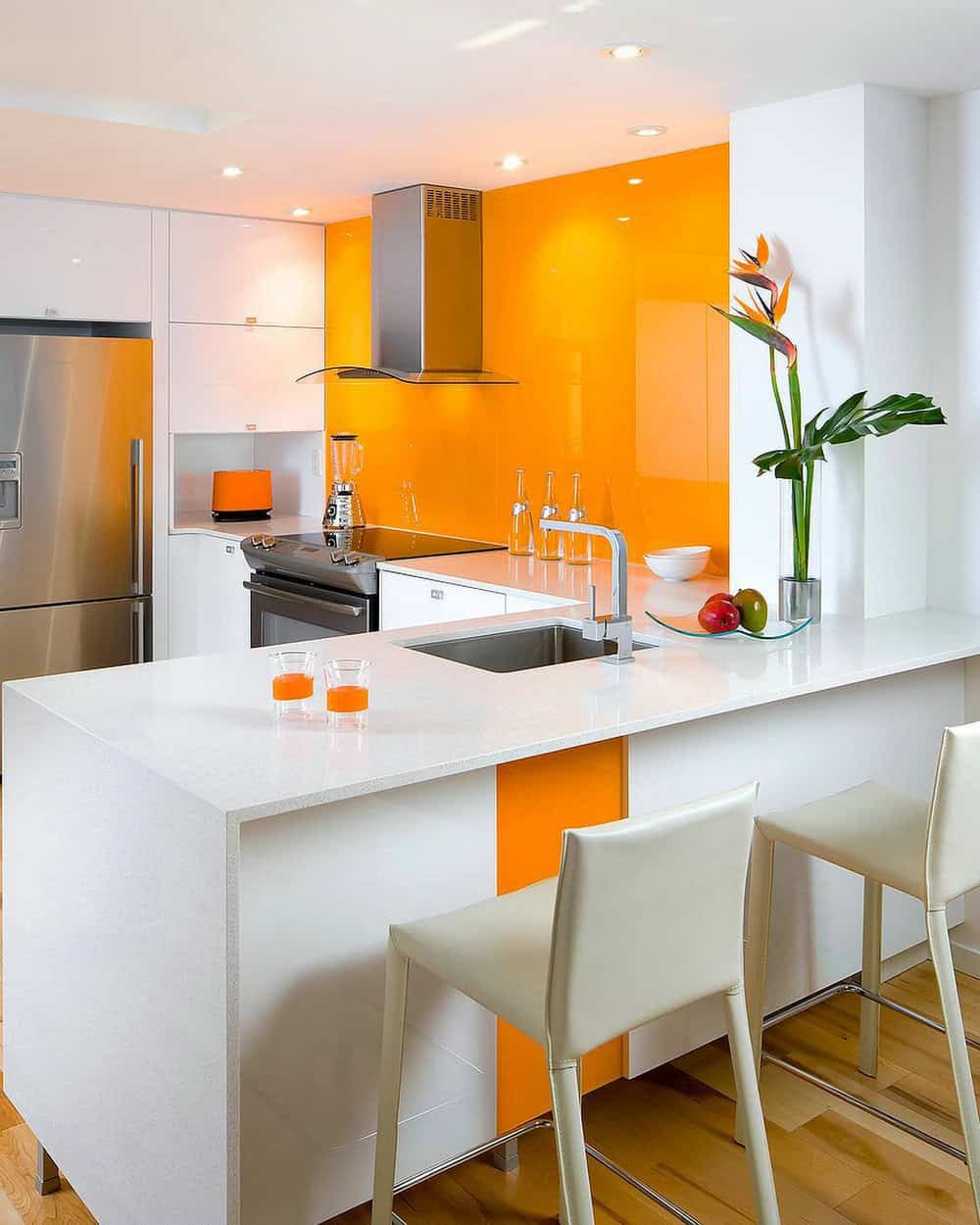 condominium kitchen ideas