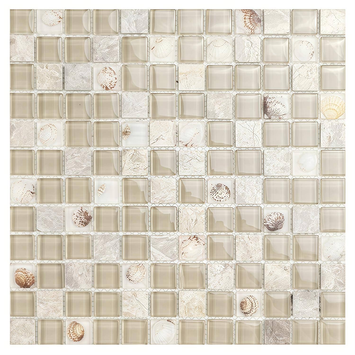 Beautiful glass mosaic tile with seashell accents for backsplash or pool decoration.