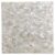 Elegant shell tile made from mother of pearl with a shimmering, iridescent finish, perfect for luxurious interior accents.