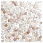 A mosaic of white and beige seashell tiles with a smooth, glossy texture, creating a natural and elegant look for home decor.