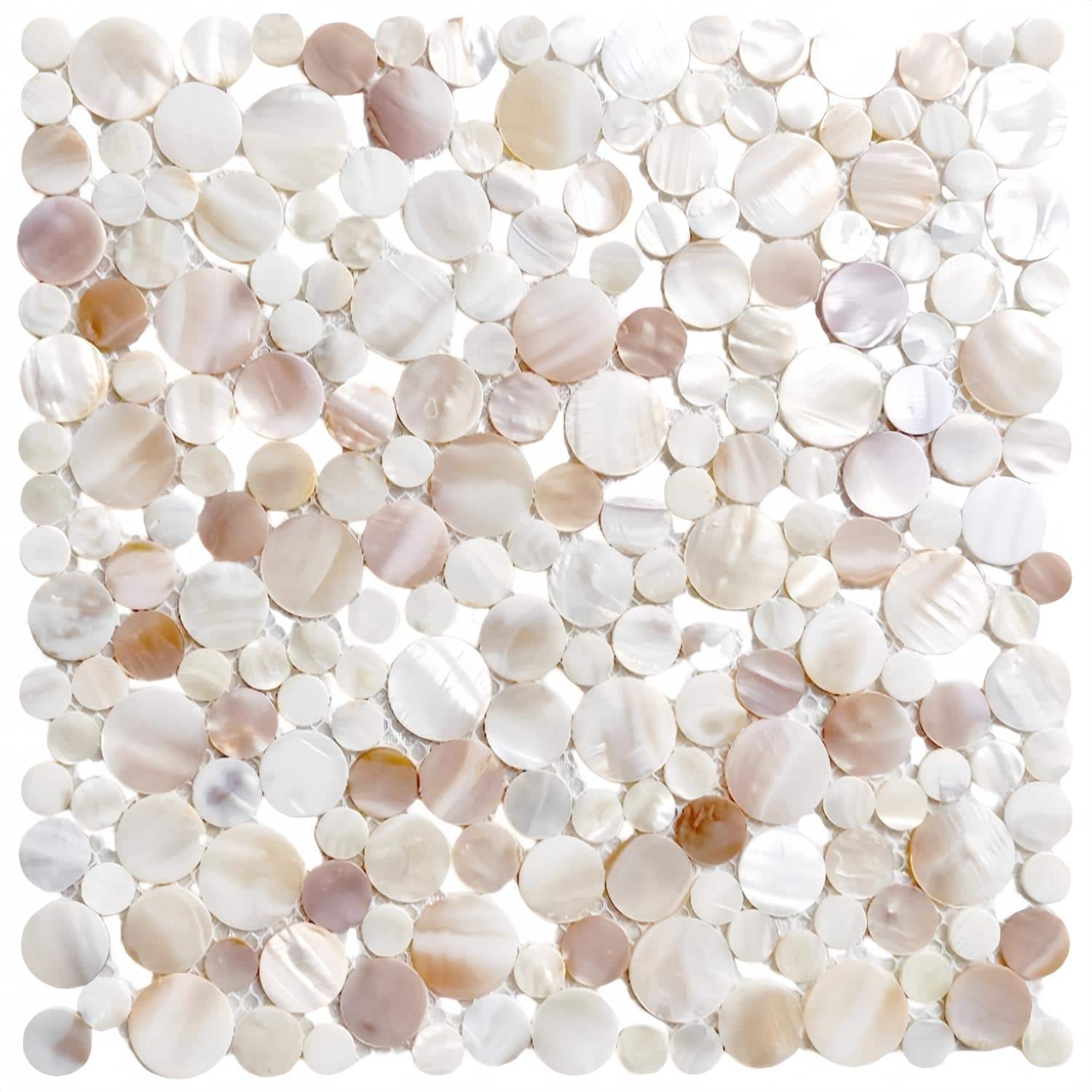 A mosaic of white and beige seashell tiles with a smooth, glossy texture, creating a natural and elegant look for home decor.
